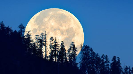 Traditional Full Moon Names