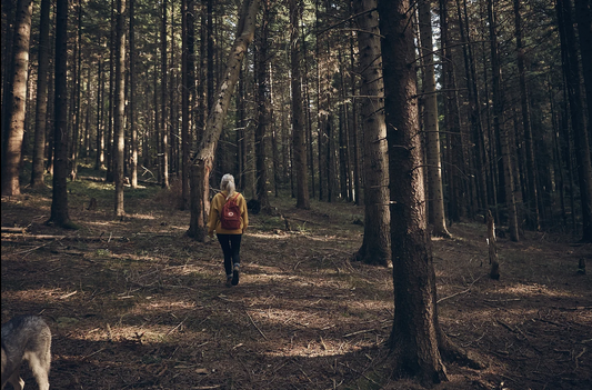 Mindful Walking